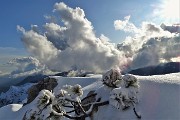 75 Seguo in discesa la traccia di salita in cresta